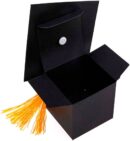 SET 12 CAJITAS GRADUACIÓN DECORACIÓN