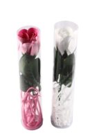 FLOR ROSA DE PÉTALOS DE ROSA EN CAJA DE REGALO