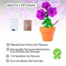 MACETA CON FLORES PETUNIA
