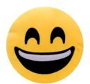 COJÍN EMOTICONOS